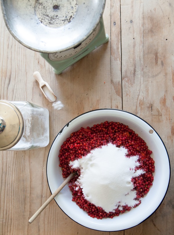 Rote Johannisbeermarmelade - Rezepte für den Winter