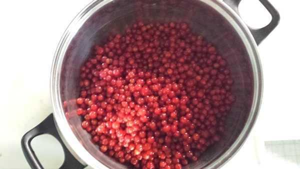 Rote Johannisbeermarmelade - Rezepte für den Winter