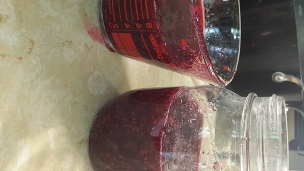 Rote Johannisbeermarmelade - Rezepte für den Winter