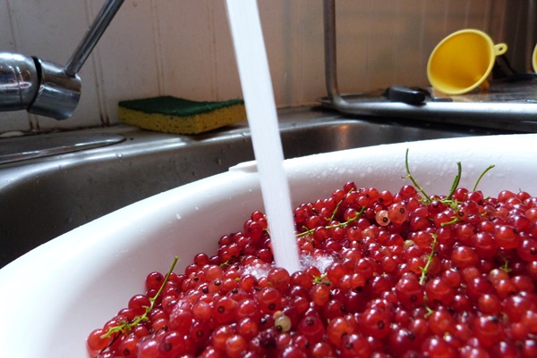 Rote Johannisbeermarmelade - Rezepte für den Winter