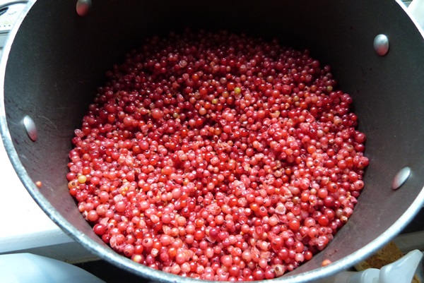 Rote Johannisbeermarmelade - Rezepte für den Winter