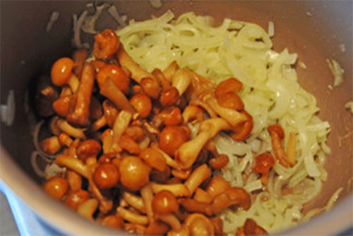 Pilze hinzufügen