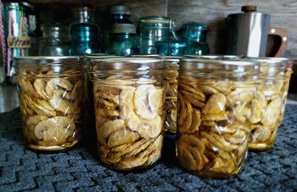Pilze pürieren