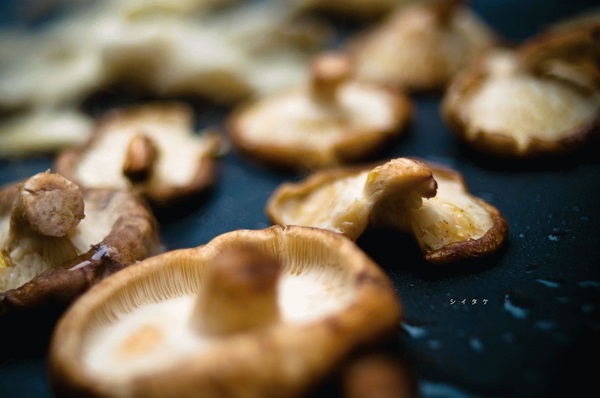 Pilze pürieren