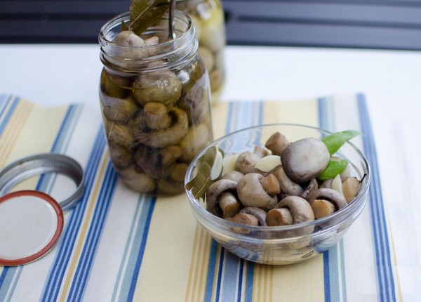 Pilze zu Hause pürieren - Rezepte für den Winter in Banken