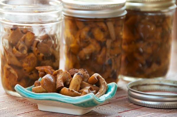 Pilze zu Hause pürieren - Rezepte für den Winter in Banken