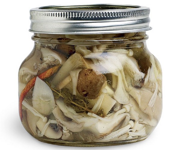Pilze zu Hause pürieren - Rezepte für den Winter in Banken