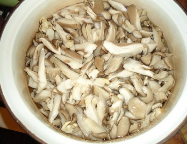 Pilze zu Hause pürieren - Rezepte für den Winter in Banken