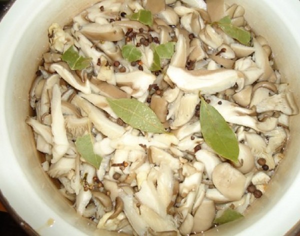 Pilze zu Hause pürieren - Rezepte für den Winter in Banken