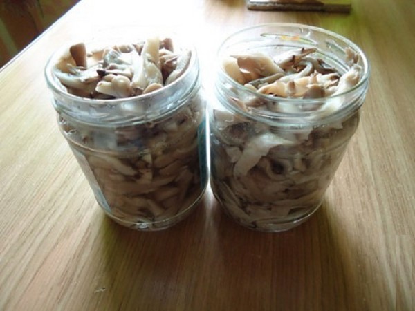 Pilze zu Hause pürieren - Rezepte für den Winter in Banken
