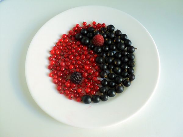 Schönes Servieren und Servieren von Früchten