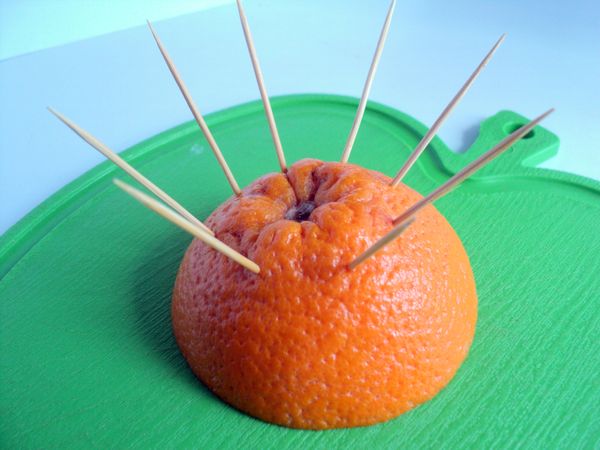 Schönes Servieren und Servieren von Früchten