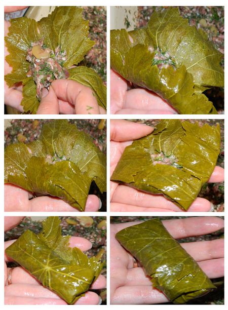 Wie man Dolma zu Hause zubereitet Wie man Dolma zu Hause zubereitet