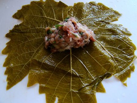 Wie man Dolma zu Hause zubereitet Wie man Dolma zu Hause zubereitet