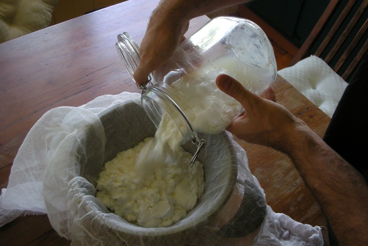 Wie man Hüttenkäse aus Milch zu Hause zubereitet Wie man Hüttenkäse aus Milch zu Hause zubereitet