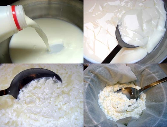 Wie man Hüttenkäse aus Milch zu Hause zubereitet Wie man Hüttenkäse aus Milch zu Hause zubereitet