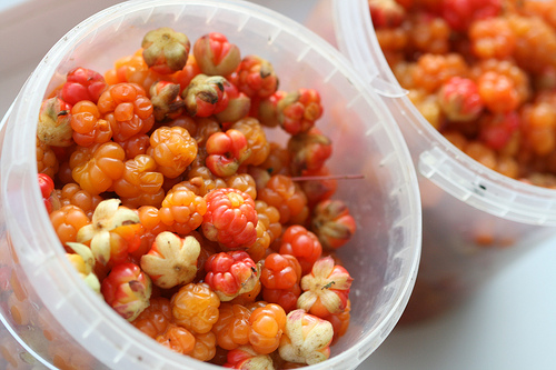 Wie man eine Moltebeerenmarmelade kocht: ein Rezept mit einem Foto