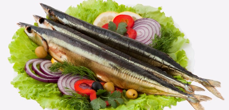 Suppe aus Konserven: schmackhafte und nützliche Rezepte