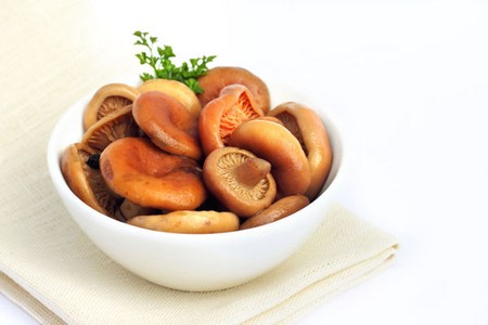 Solim Pilze Schweine für den Winter Solim Pilze Schweine für den Winter