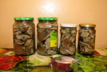 Solim Pilze Schweine für den Winter