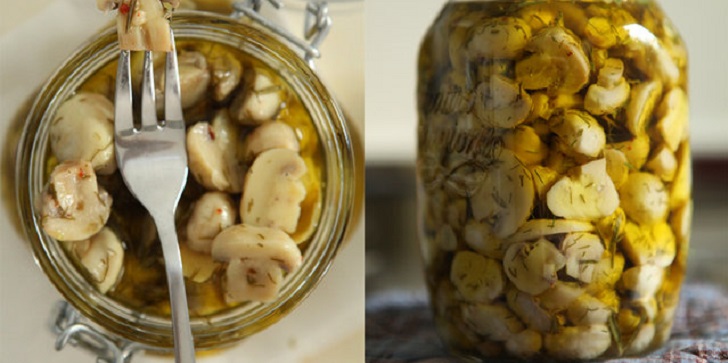 Köstliche Pilzsammelrezepte für den Winter