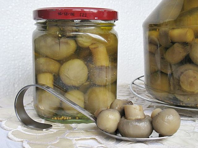 Marinierte Champignons für den Winter, klassisches Rezept Marinierte Champignons für den Winter, klassisches Rezept