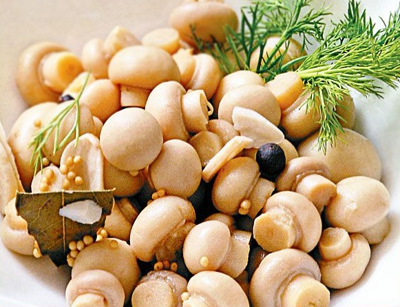 Champignons konserviert für den Winter, köstliches Rezept Champignons konserviert für den Winter, köstliches Rezept