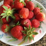 Wie man die Rohlinge von Erdbeeren für den Winter schließt - Fotorezepte