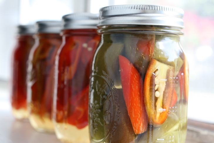 Wie man bulgarischen Pfeffer für den Winter mariniert: Fotorezeptmarinade