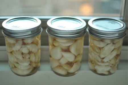 Wie man Knoblauch für den Winter pflückt