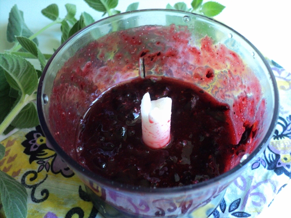 Wie man schwarze Johannisbeere in Form von Sorbet einfriert