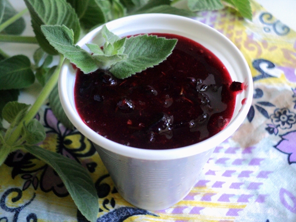 Wie man schwarze Johannisbeere in Form von Sorbet einfriert