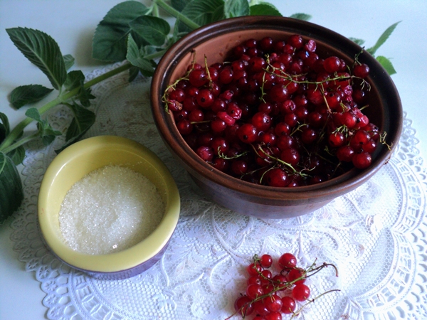 Wie man rote Johannisbeeren einfriert