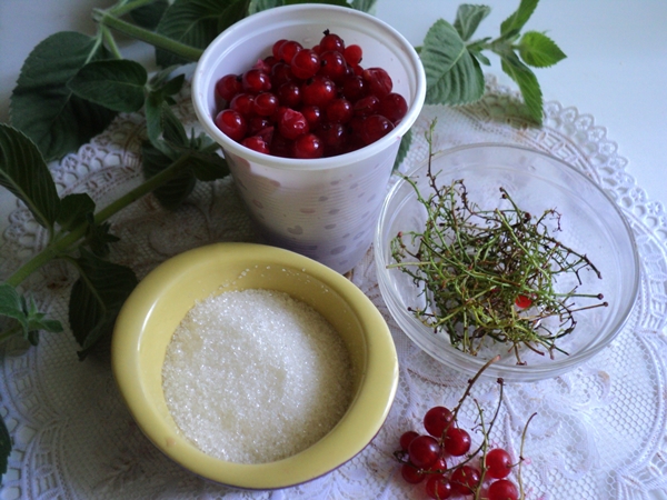 Wie man rote Johannisbeeren einfriert