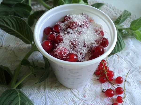 Wie man rote Johannisbeeren einfriert