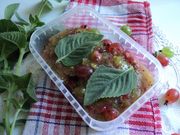 Wie man Stachelbeeren einfriert