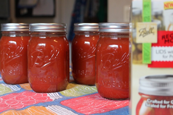 Ketchup mit eigenen Händen aus Tomaten: Schritt-für-Schritt-Rezepte für die Ernte für den Winter
