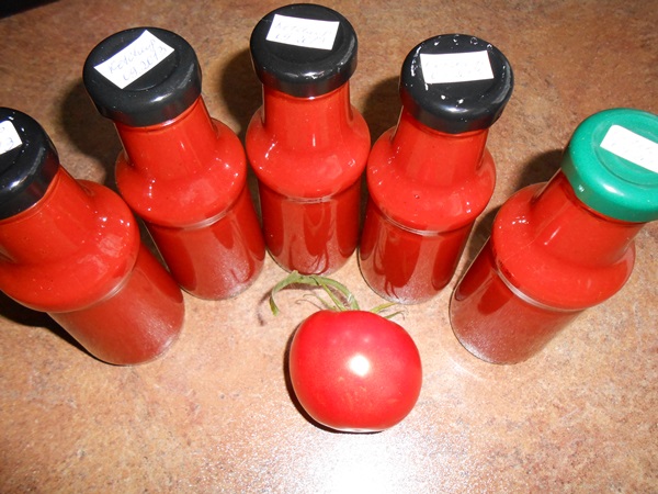 Ketchup mit eigenen Händen aus Tomaten: Schritt-für-Schritt-Rezepte für die Ernte für den Winter