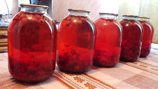 Kompott aus Aronia