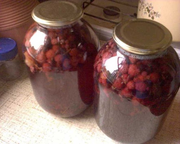 Köstliches Kompott von Himbeeren für den Winter