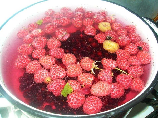 Köstliches Kompott von Himbeeren für den Winter