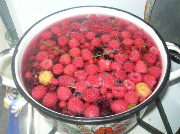 Köstliches Kompott von Himbeeren für den Winter