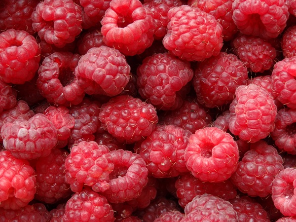 Köstliches Kompott von Himbeeren für den Winter