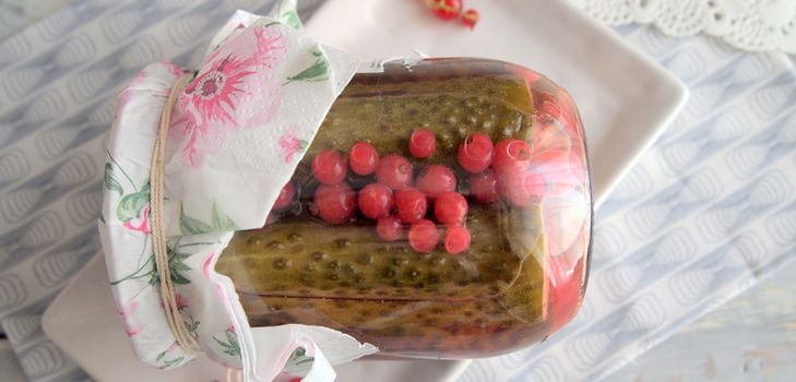 Gurken mit Johannisbeeren ohne Essig
