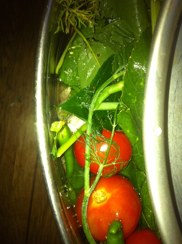 Frisch gesalzene Tomaten in einer Tasche und in einem Kochtopf