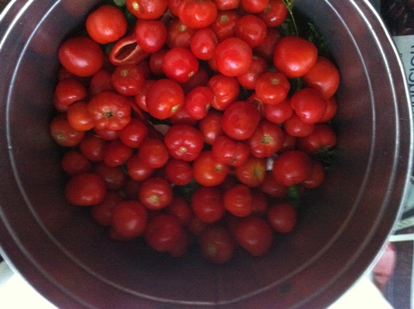 Frisch gesalzene Tomaten in einer Tasche und in einem Kochtopf
