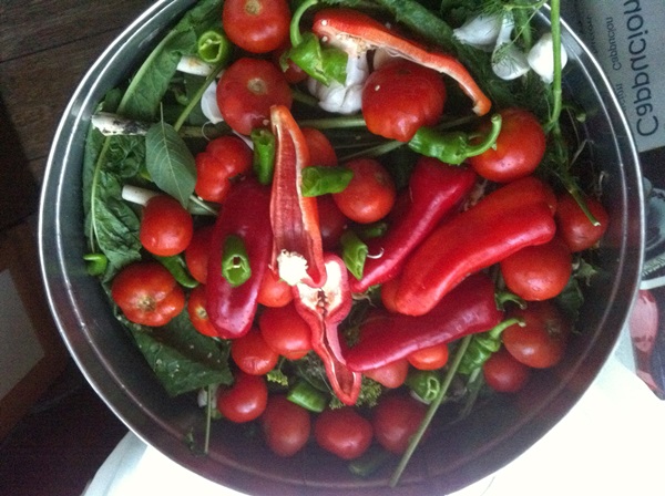 Frisch gesalzene Tomaten in einer Tasche und in einem Kochtopf