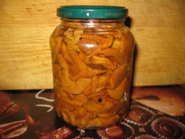 Eingelegter Pfifferling