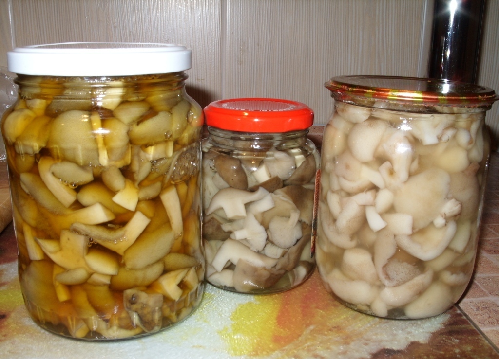 Marinierte Ruderer