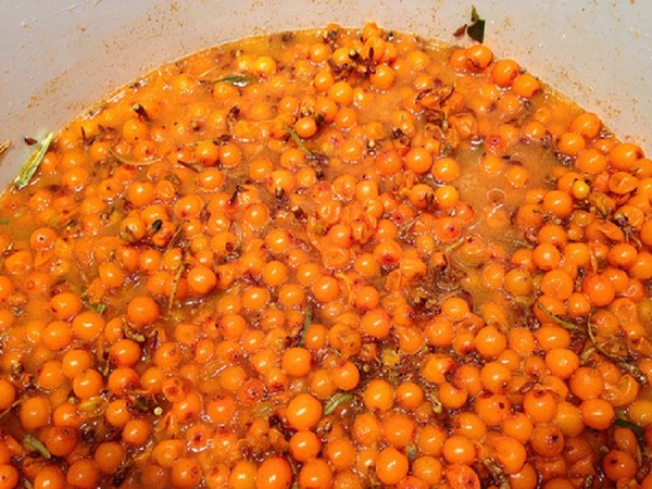 Sanddorn für den Winter, die besten Rezepte: mit Zucker, ohne Kochen, mit Honig, Gelee